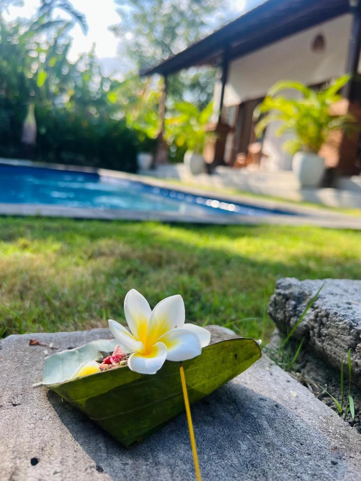 Wiryaroja Guest House Canggu Extérieur photo